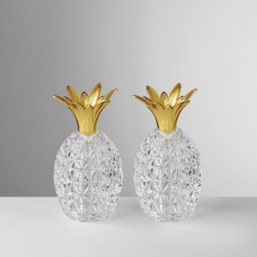 Pineapple Salt & Pepper Shaker